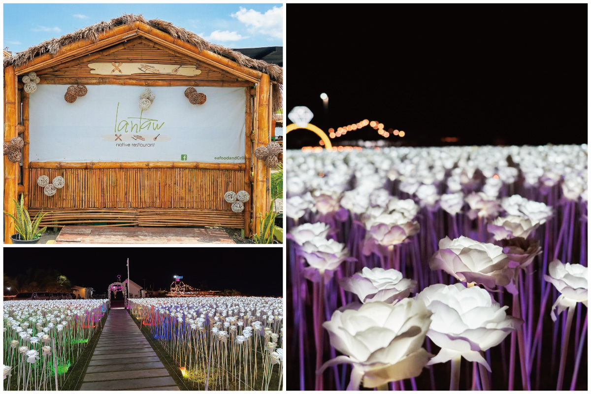 映え度MAX！1万本のバラ＆絶景ディナー