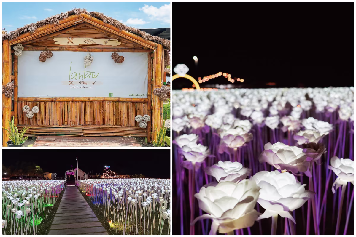 映え度MAX！1万本のバラ＆絶景ディナー