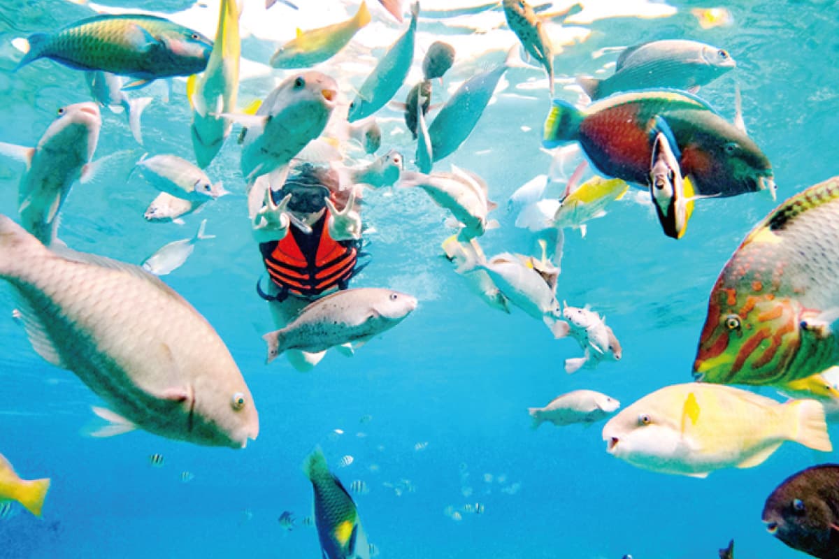 ã ã ã ã ã ã ã ã ã ã ã ªã ã ã