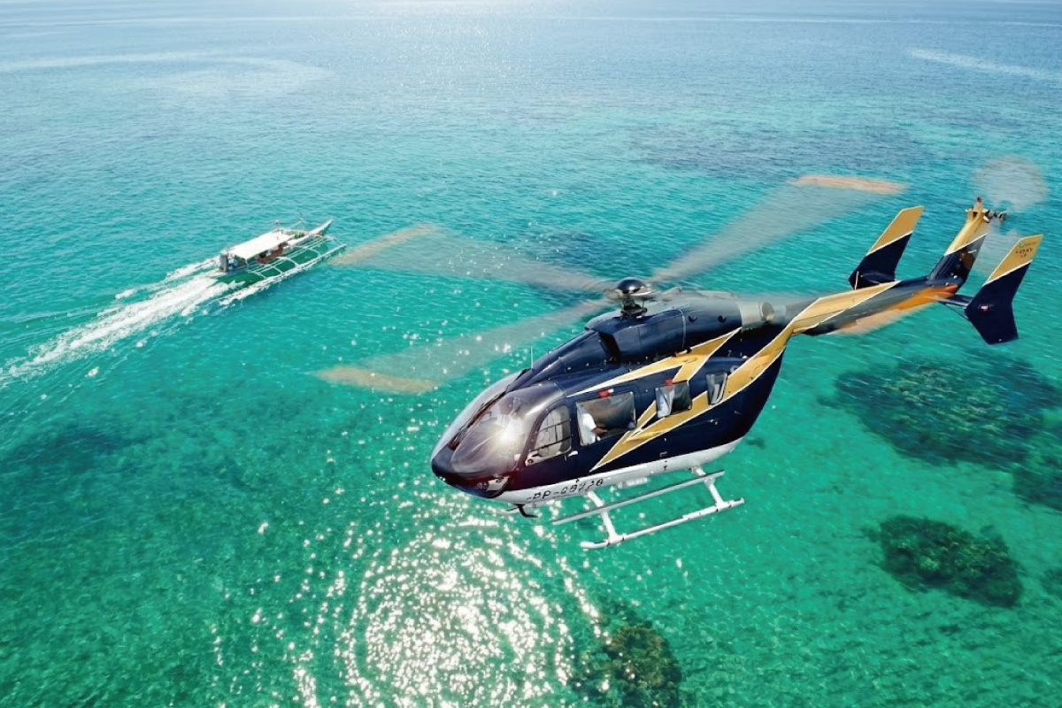 空から向かう、特別なジンベイザメ体験。