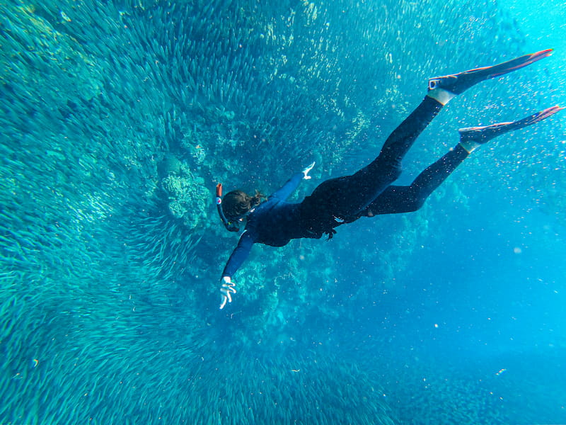 もう水族館には戻れない！？フィリピン・セブ島の魅力はやっぱり豊かな海の仲間たち。常夏のセブ島でジンベイザメ・ウミガメ・イワシトルネードと泳げる最高ツアーを体験しよう。