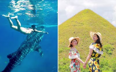 ジンベイザメとボホール島を1日で観光する弾丸ツアー!セブ島旅行の魅力がギュッと詰まった大満足オプショナルツアー!
