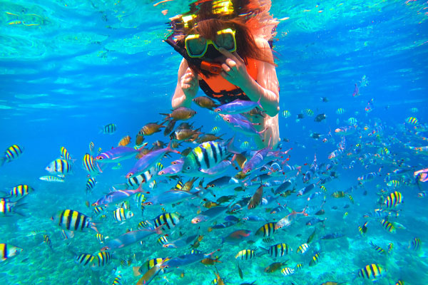 img tour snorkeling