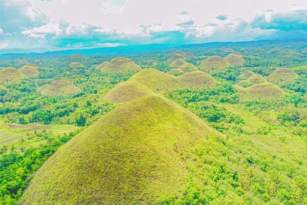 世界でここだけ！チョコレートヒルズ