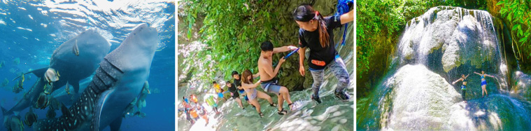 ジンベイザメツアー＋3滝キャニオニングツアー