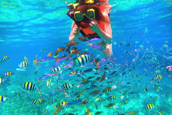 ヒルトゥガン島でシュノーケリング