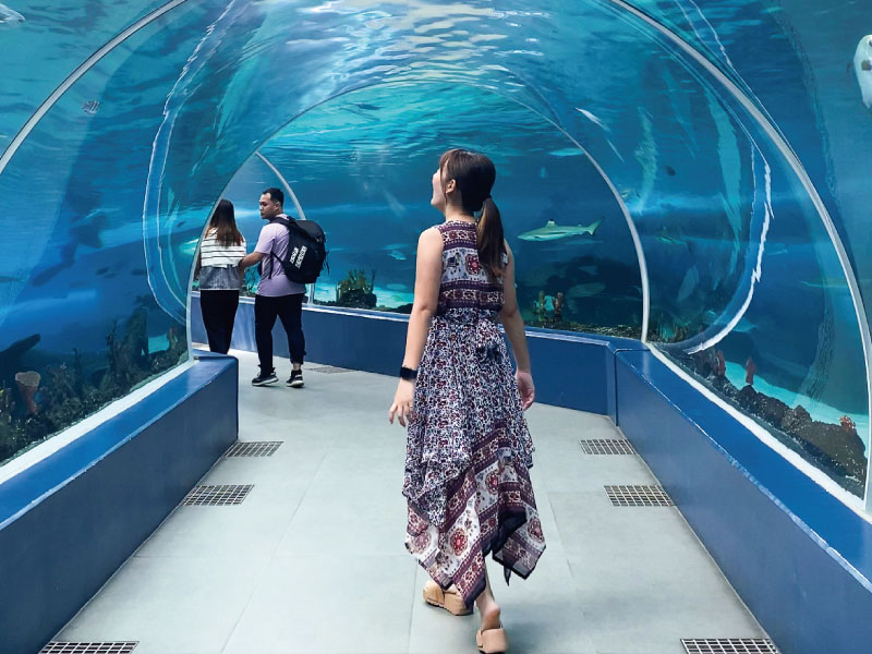 大人_セブ島水族館写真