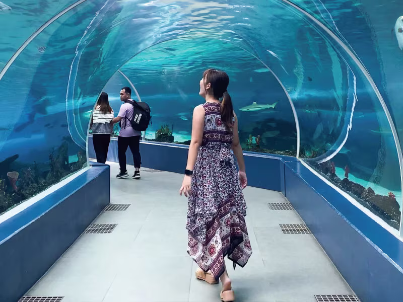 大人_セブ島水族館写真