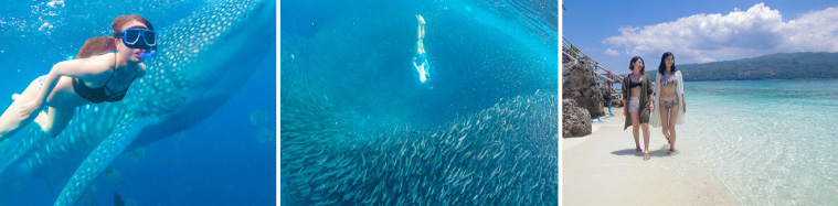 オスロブ＋スミロン＋モアルボアルツアー