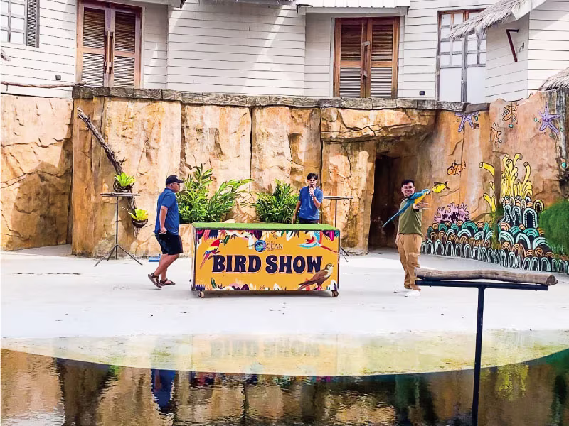 迫力満点！バードショー