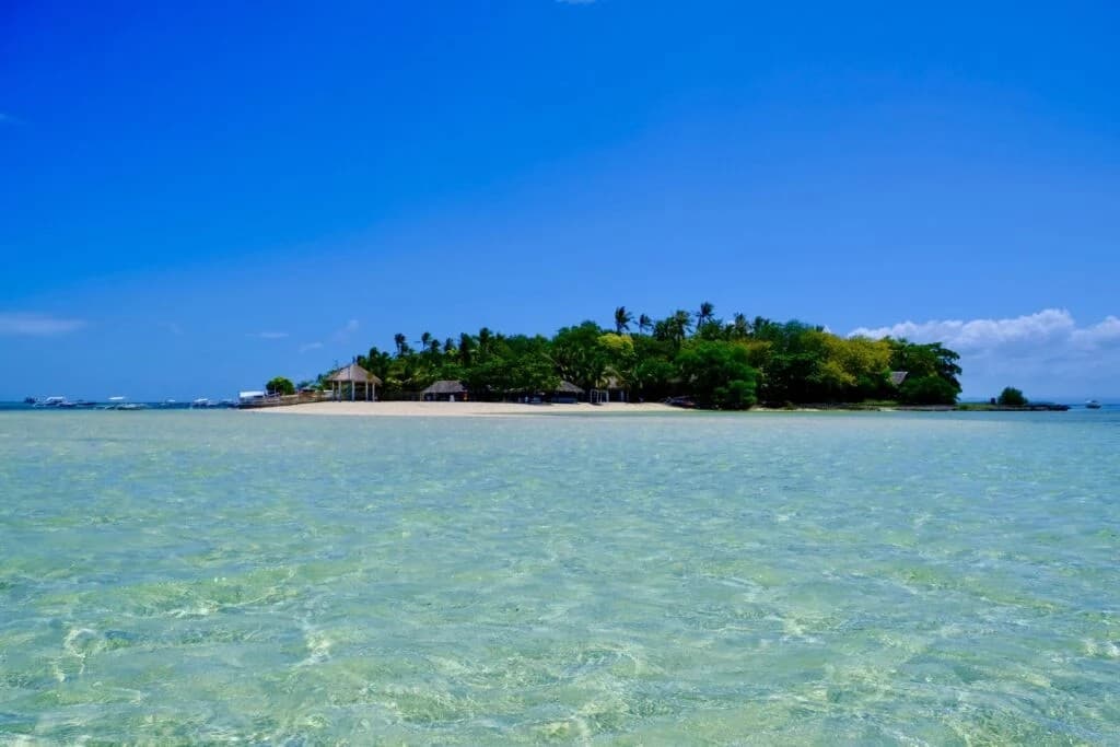 3228412 m-1024x683 (1)