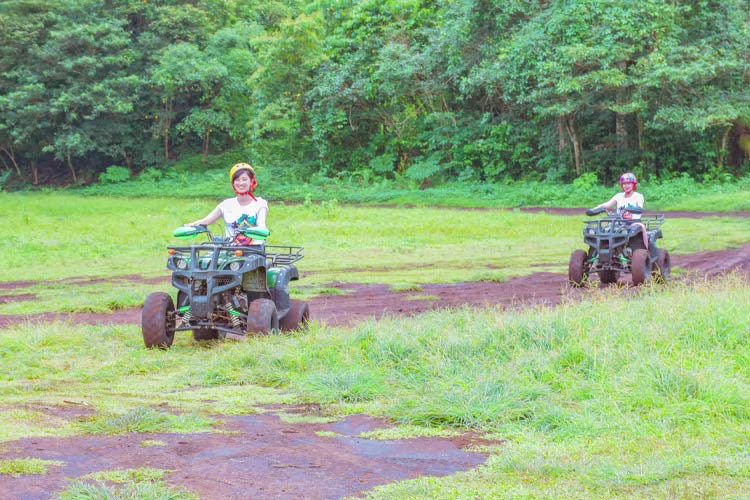 最大2種類まで選べるアクティビティ