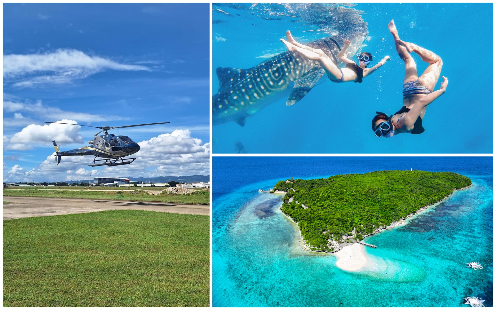 ヘリコプターで行くジンベイザメツアー