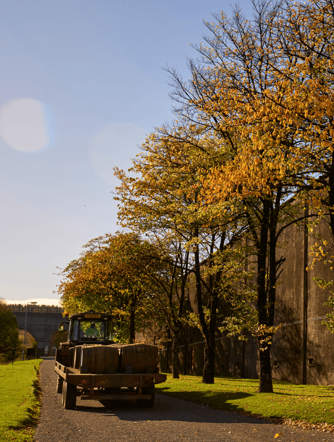 How-will-Scotch-Whisky-Survive-the-Climate-Change-3