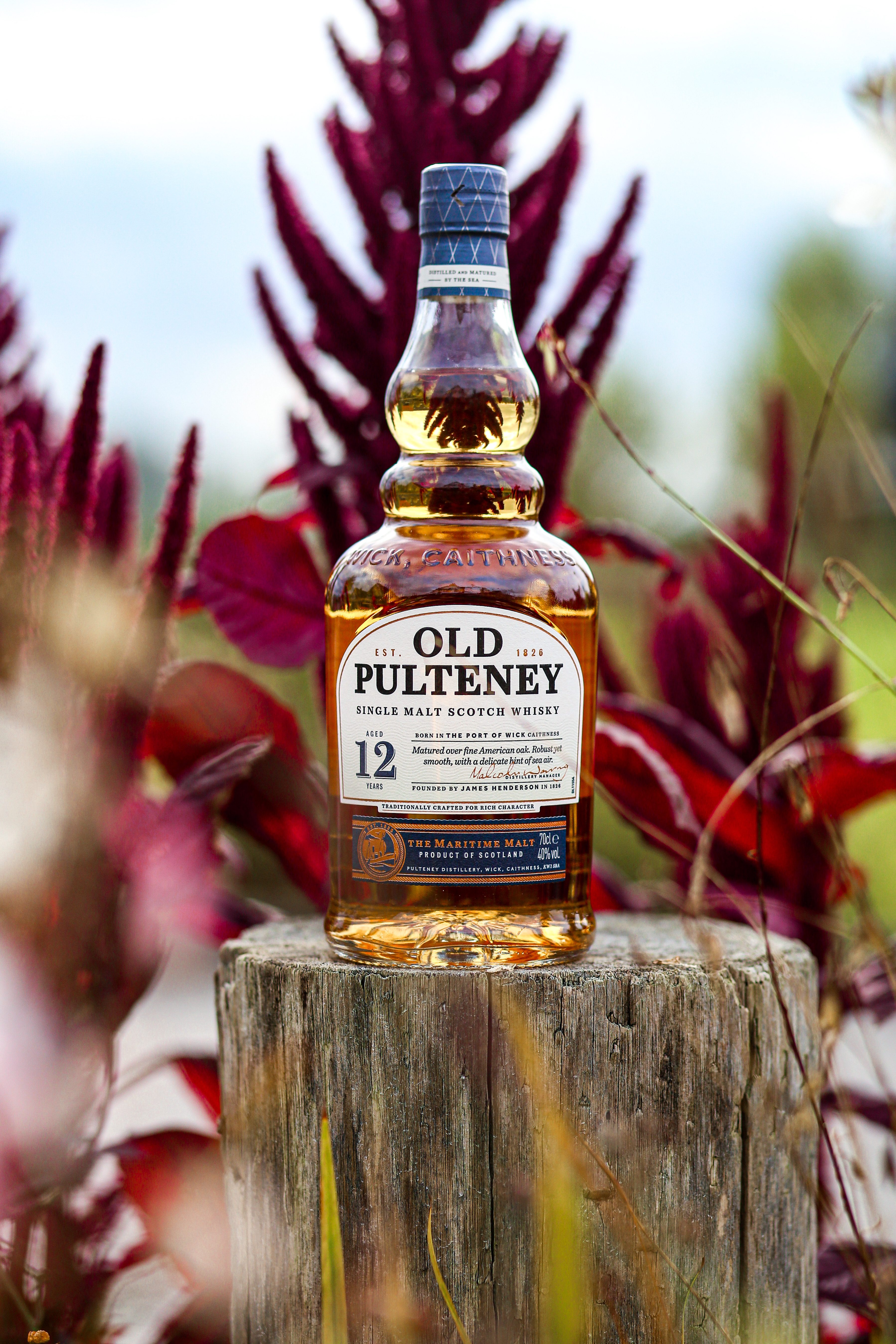 Top-5-whisky-bottles-for-Halloween-4