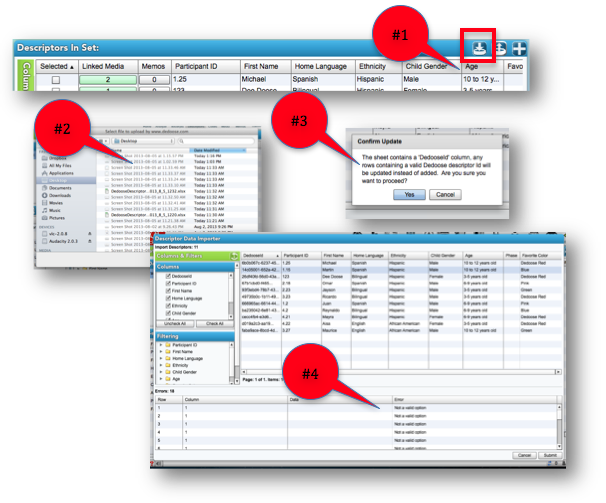 "Adding Descriptors via Excel" Article Screenshot