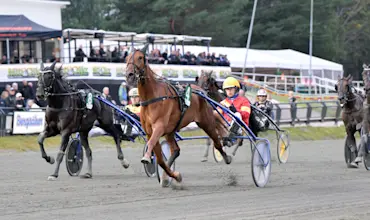 Shogun R.R. m&aring;l (1).jpg