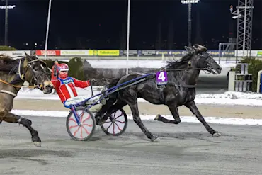 LÅHNE GOLIAT OG GEIR FLÅTEN-6.webp