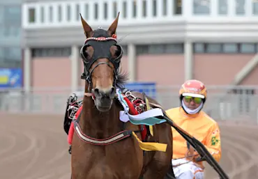 Clarissa segerdefilerar.jpg