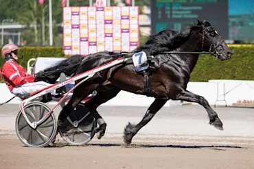 MÅNLYKKE A.M. värmn (1).jpg