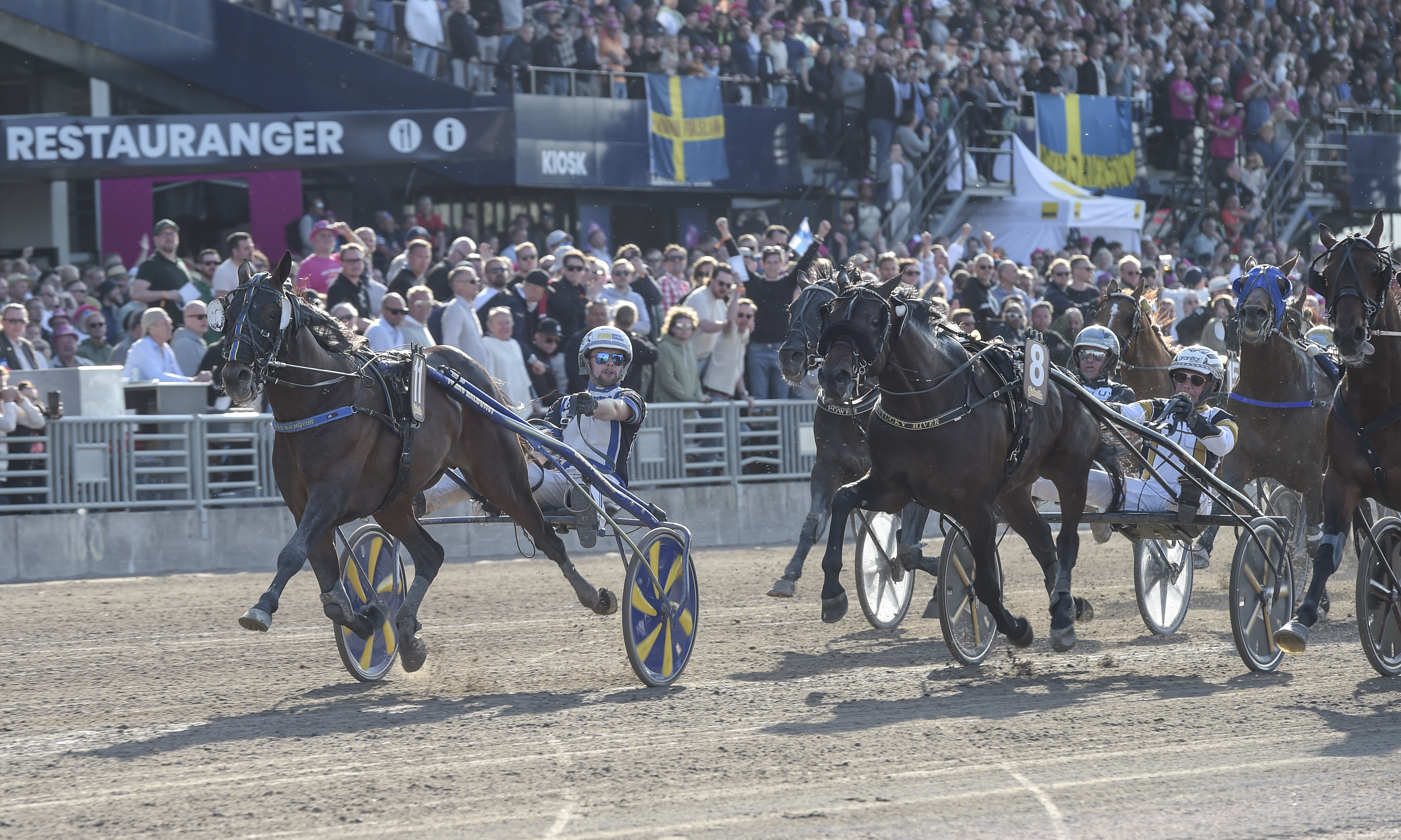 Malmqvist hoppas på Prix d'Amerique med Harpers-vinnaren | ATG