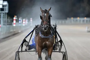 Ready Creation efter segern.webp