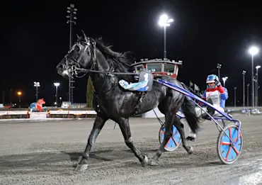 Baias segerdefilering_1.jpg