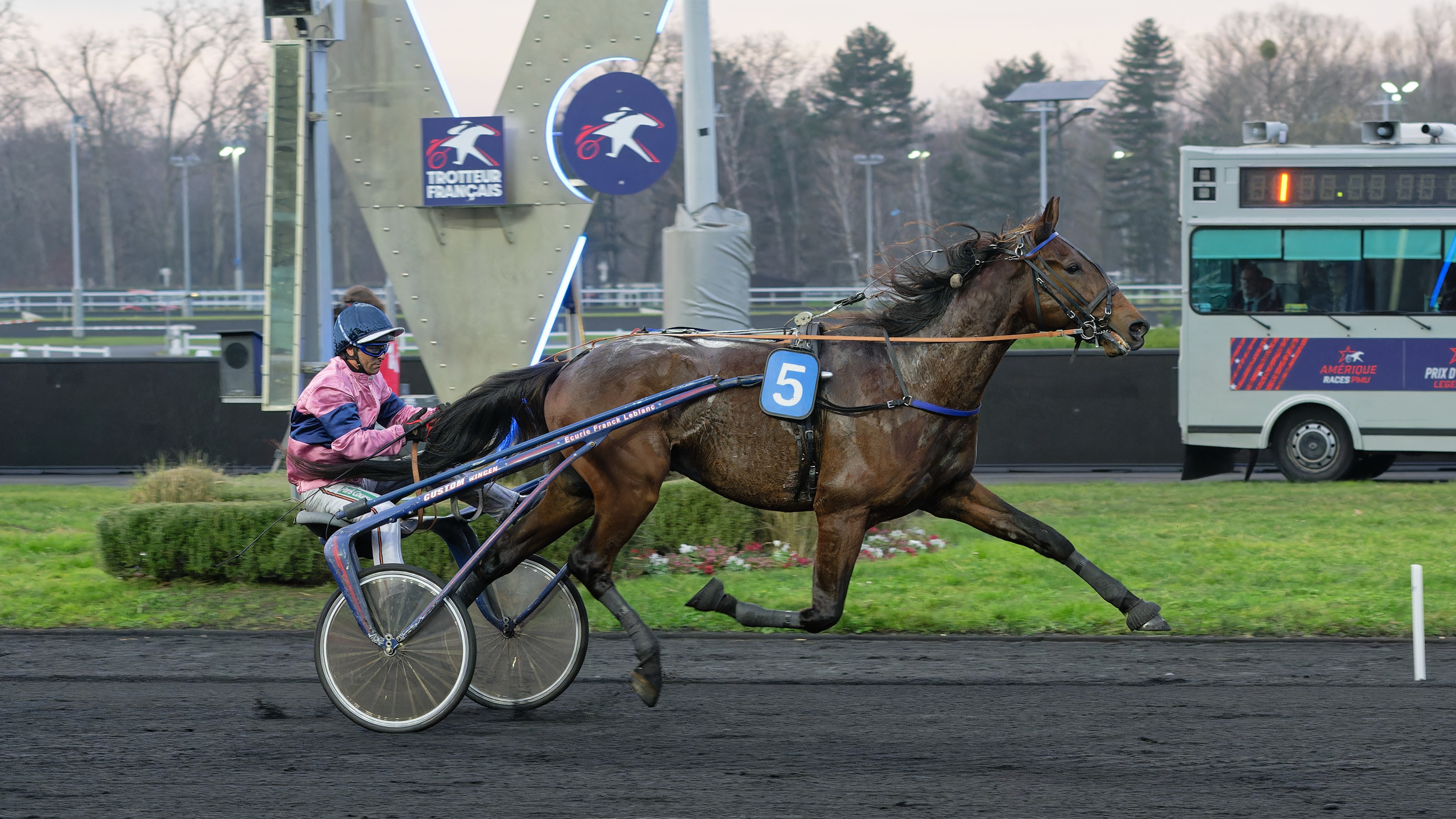 Ibiki de Houelle klar för Åby Stora Pris | ATG