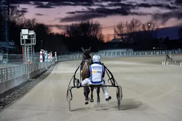 Magnus A Djuse segerdefilerar.jpg