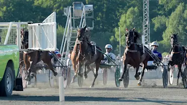 Pure Atlas galopperar i starten.jpg