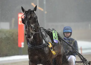 Ready Creation segerdefilerar.jpg