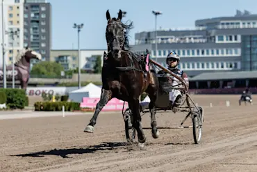 DON FANUCCI ZET v&auml;rmning i bakvarv.jpg