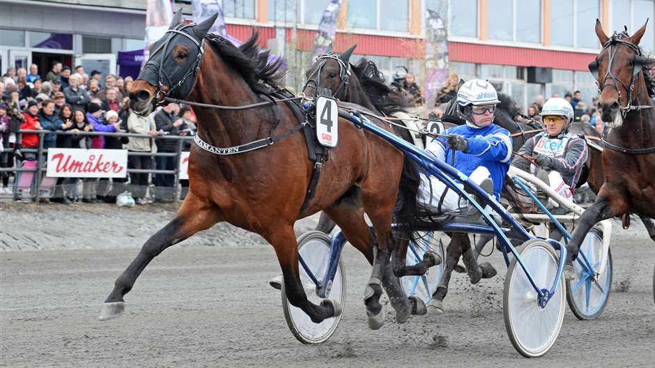 Allsvenska kuskligan Adielsson in på listan ATG