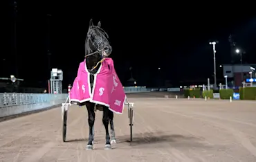 Don Fanucci Zet efter segern.jpg