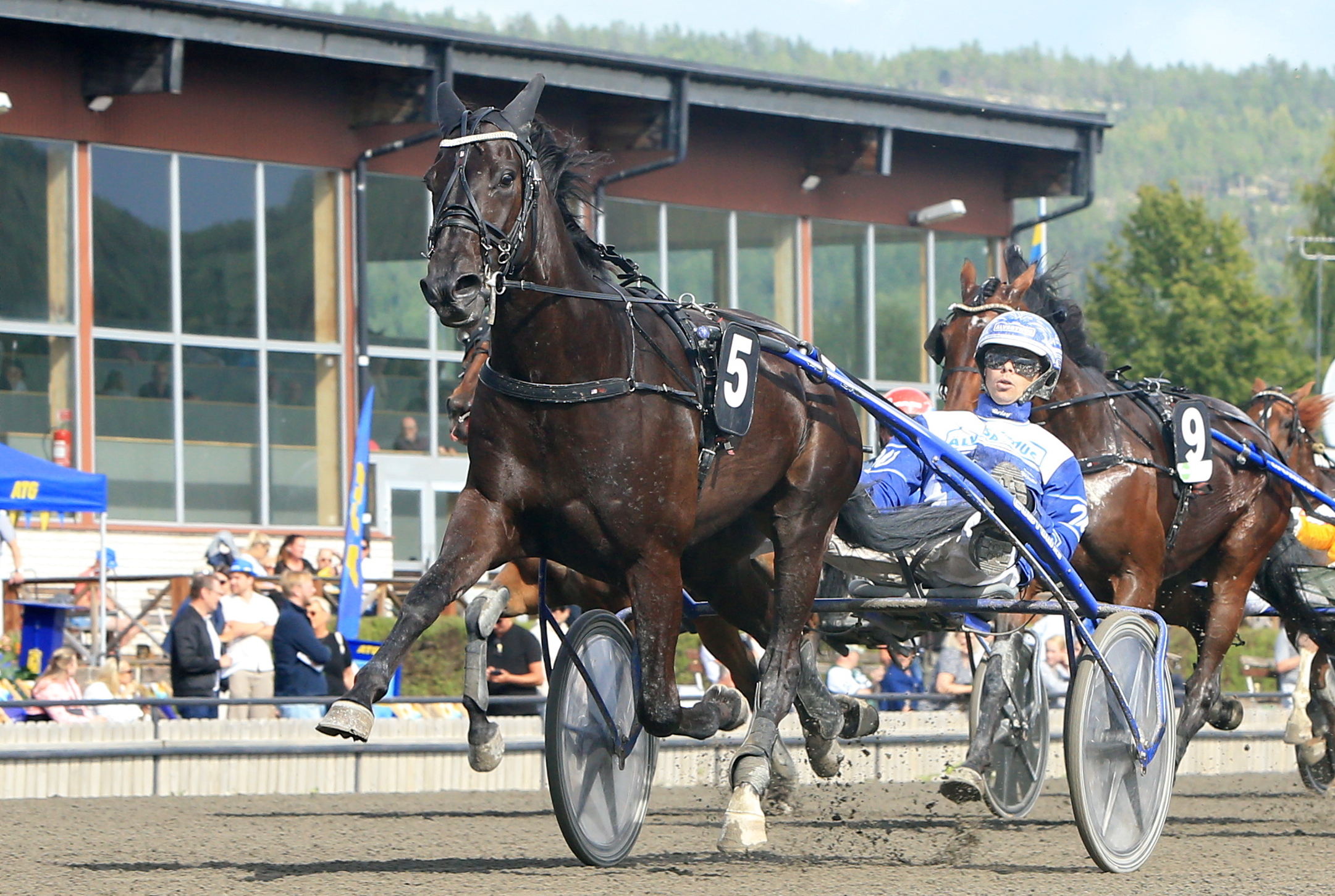 Competivo starkast av svenskarna i Paris | ATG