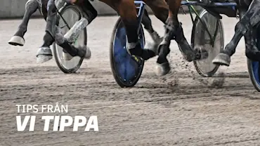 1120-startlist-vitippa.jpg