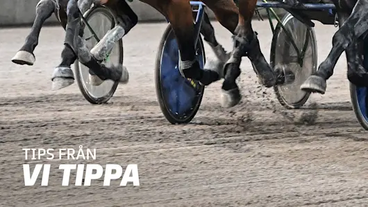V65® från Vi Tippa