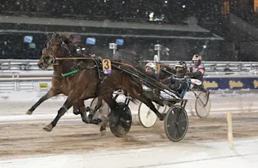 Wellerman m&aring;l.jpg