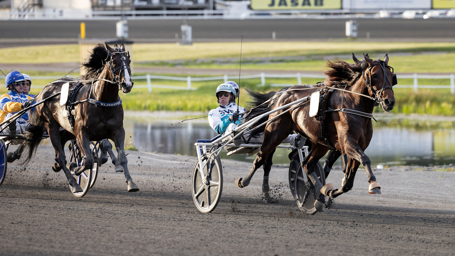 Francesco Zet upplopp Sundsvall Open Trot.jpg