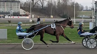 Stallsnack V4®/V5® Halmstad | ATG