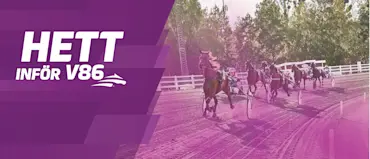 v19-HETT-INFOR-V86-1400x600-01.jpg