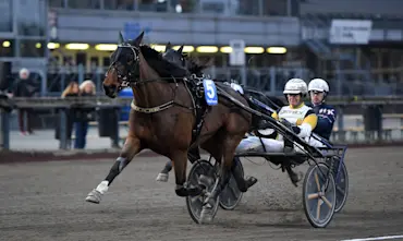 Prince of Euro m&aring;l  (2).jpg