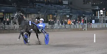 High on Pepper m&aring;l.jpg