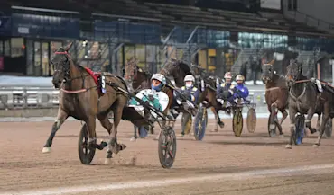 Finance Lady Par m&aring;l (1).jpg