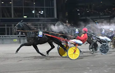 Leverage m&aring;l.jpg