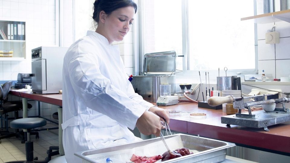 A female scientist wearing a lap coat prodding raw meat