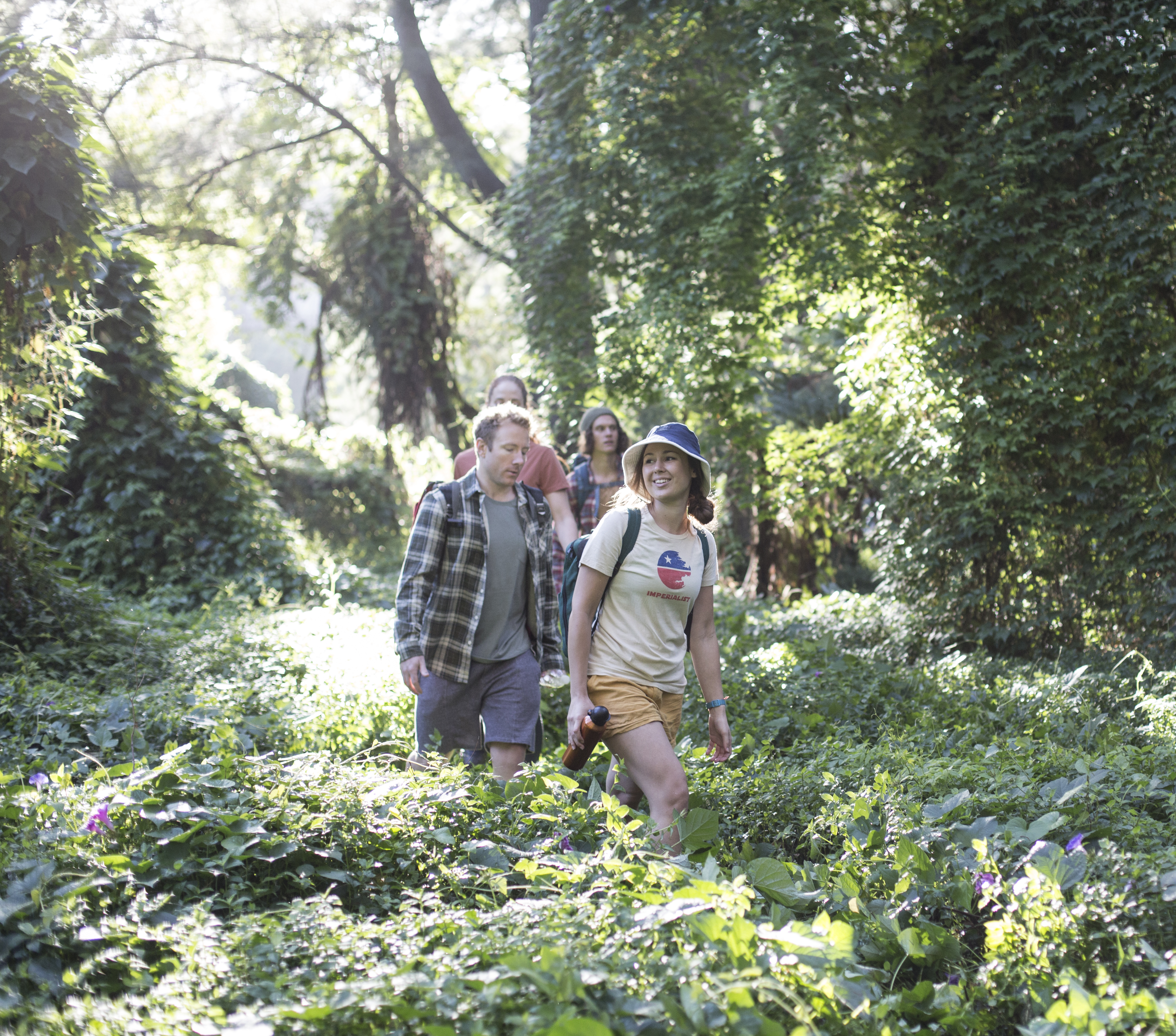 A group of young adults on a bushwalk