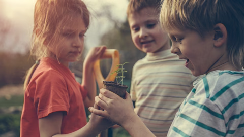 Girl and two boys holding a plant and a shovel in the backyard Girl and two boys holding a plant and a shovel in the backyard