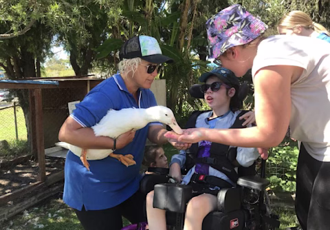 Horticulture therapist and disabled child feeding a duck Horticulture therapist and disabled child feeding a duck