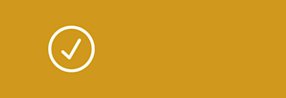 Orange checkmark